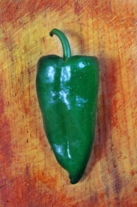 Stuff Poblano Peppers, Mexicali Fresh Mex Grill, MA and CT